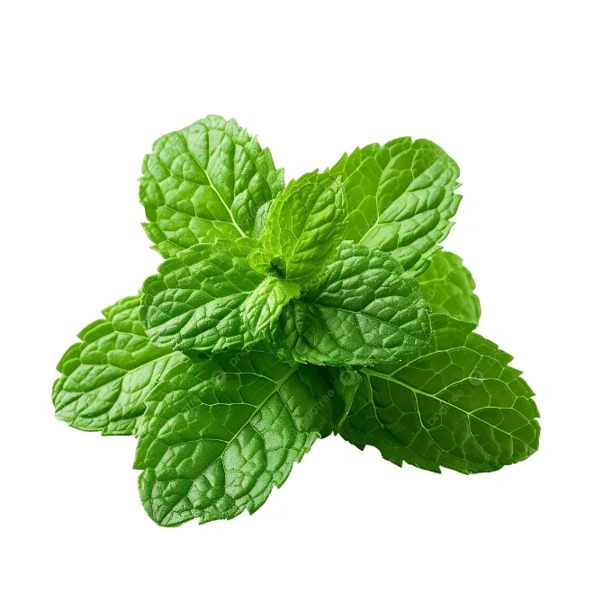 Mint Leaves