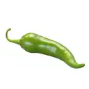 GREEN CHILLI – image 1