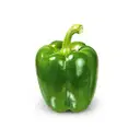 Capcicum (green) – image 1
