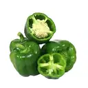 Capcicum (green) – image 3
