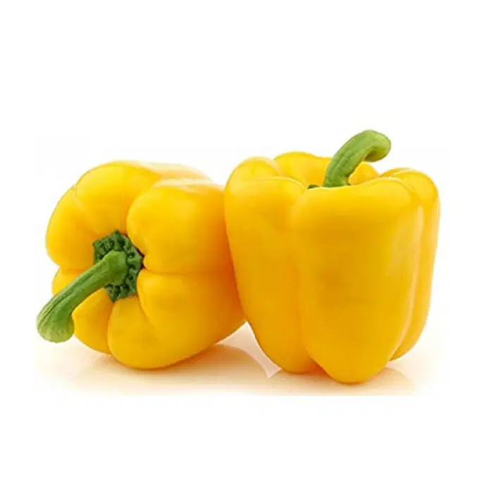 CAPSICUM 