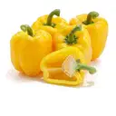 CAPSICUM  – image 3