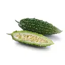 BITTER GOURD – image 1