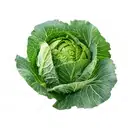 Cabage  – image 4