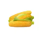 CORN – image 1