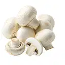 MASHROOM – image 1