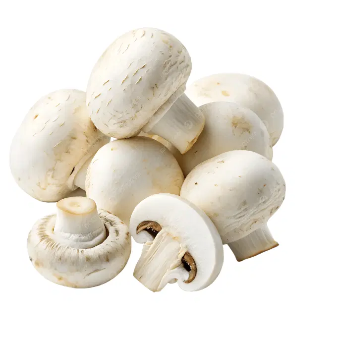MASHROOM