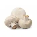 MASHROOM – image 2