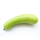 BOTTLE GOURD – image 3
