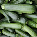 ZUCCHINI – image 3