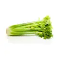 CELERY – image 1