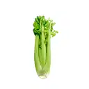 CELERY – image 3