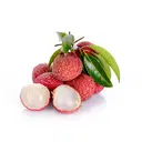 LITCHI – image 3