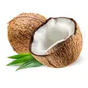 COCONUT (Thenga ) – image 4