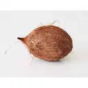 COCONUT (Thenga ) – image 1