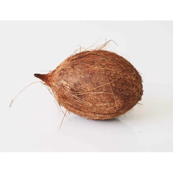 COCONUT (Thenga )
