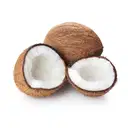 COCONUT (Thenga ) – image 3