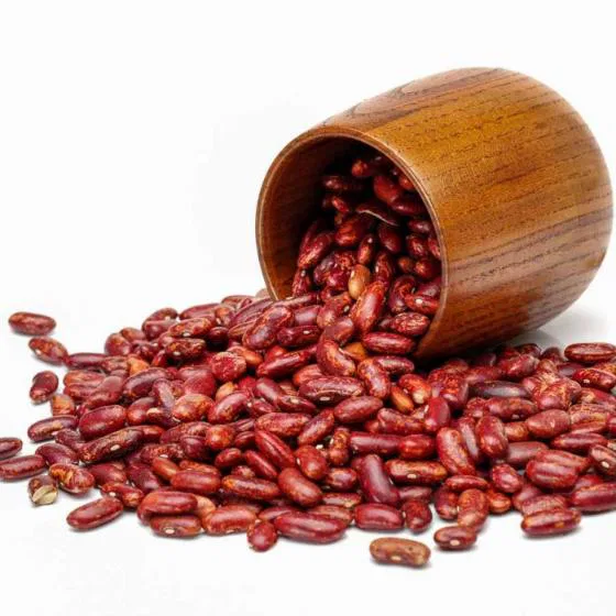 Gee Ess Rajma