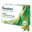 Himalaya Neem & Turmeric Soap – image 1