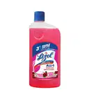 Lizol All In 1 Disinfectand Surface Cleaner Floral – image 1