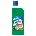 Lizol All In 1 Disinfectand Surface Cleaner Jasmin – image 1