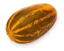 Manglore Cucumber – image 1