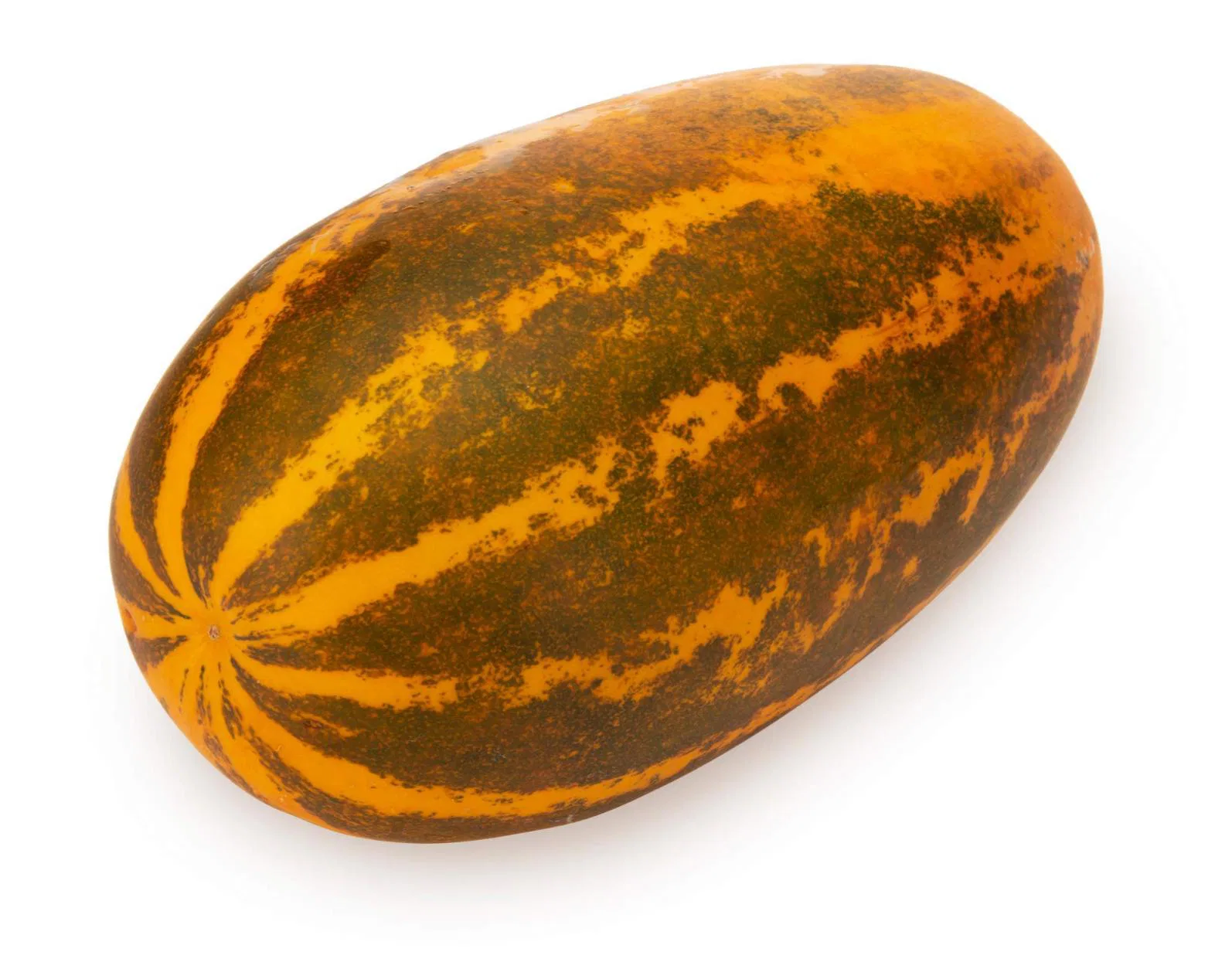 Manglore Cucumber