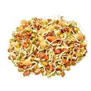 Organic Sprouts Mixed Gram – image 1