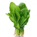 Palak Cleaned Without Roots – image 1