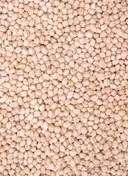 Popular Essentials Kabuli Chana Premium – image 3