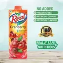 Real Fruit Power Cranberry Juice – image 5