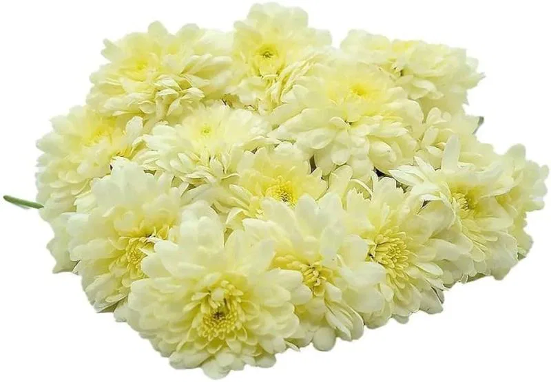 Sevanthi Flower