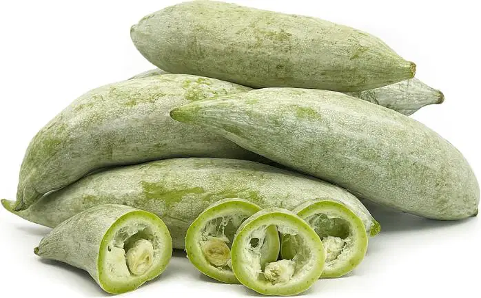 Snake Gourd ( padavalam )