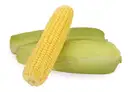 Sweet Corn – image 1