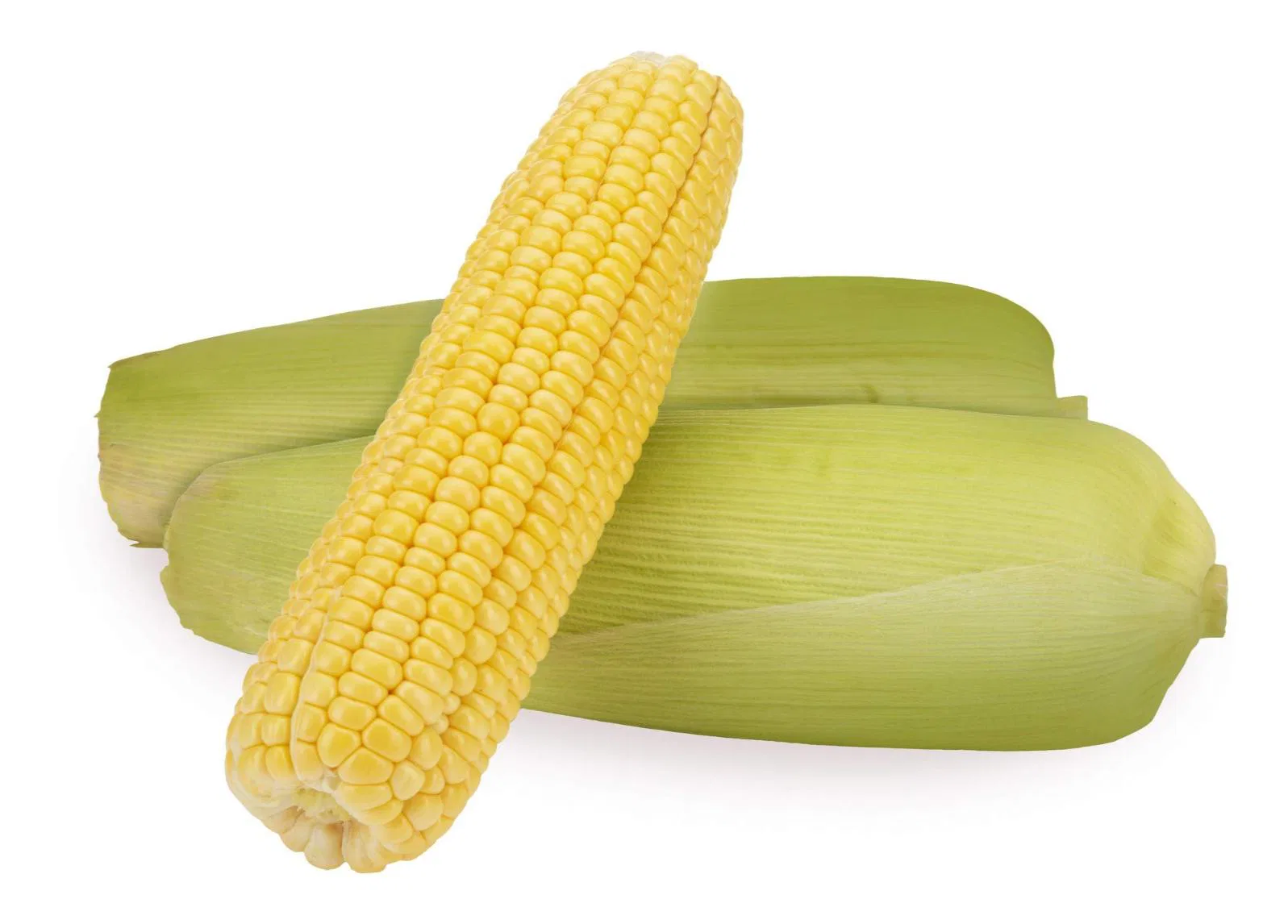 Sweet Corn