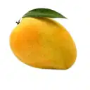 kesar mango – image 1
