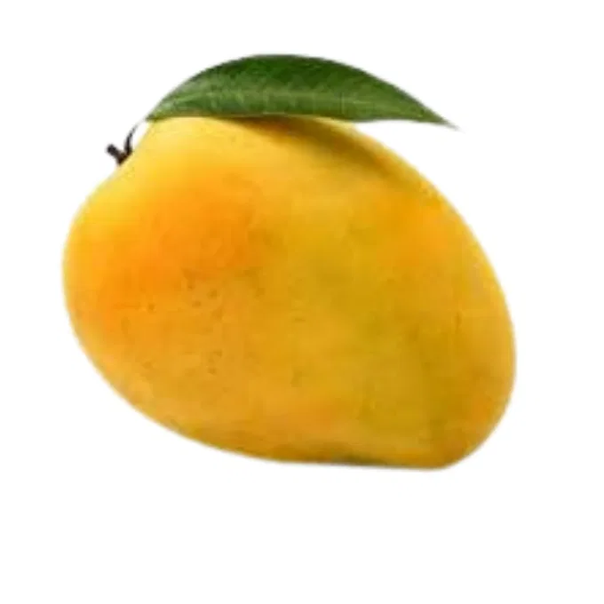 kesar mango