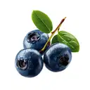 Blue Berry – image 1