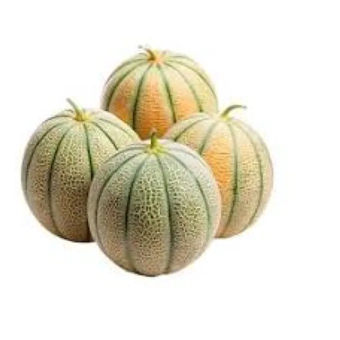 Musk Melon