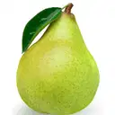 PEAR (SABARJELLY) – image 1