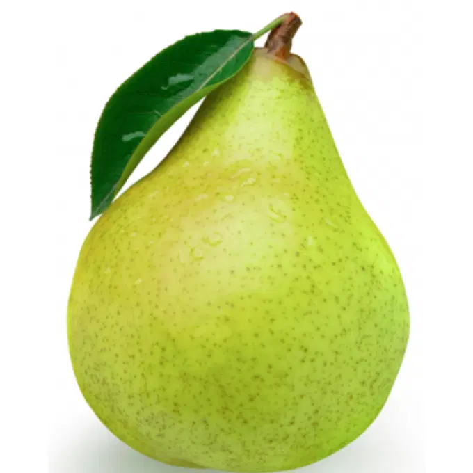 PEAR (SABARJELLY)
