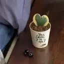 You Deserve Self care Heart Hoya Plant – image 1