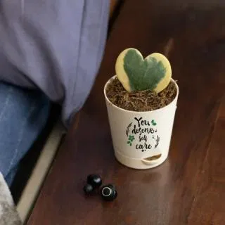 You Deserve Self care Heart Hoya Plant