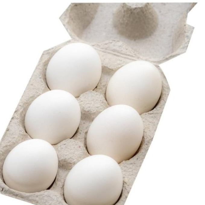 EGG