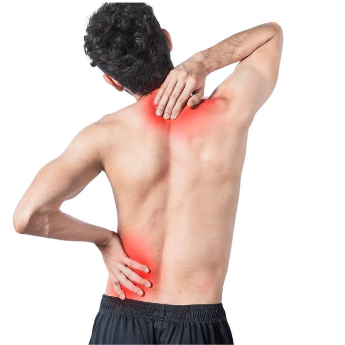 Joint & Muscle support