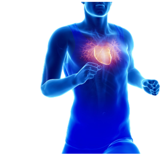 Heart Care