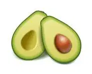 Avocado 