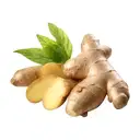 GINGER (organic) – image 1
