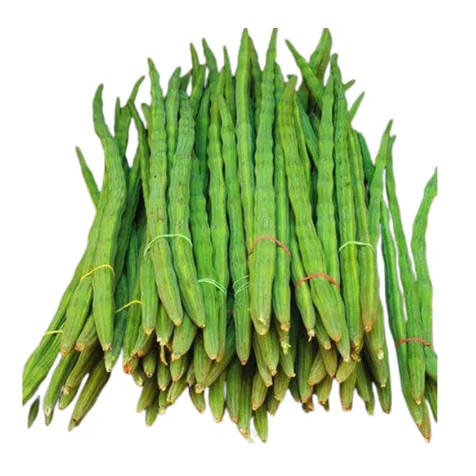 Drumstick ( muringa)