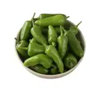 Chilli Green  (pacha mulak) – image 1